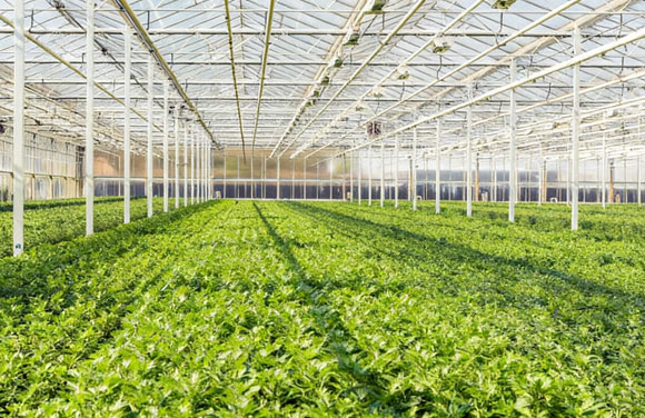 Smart Agriculture Solution Smart Agriculture Solution